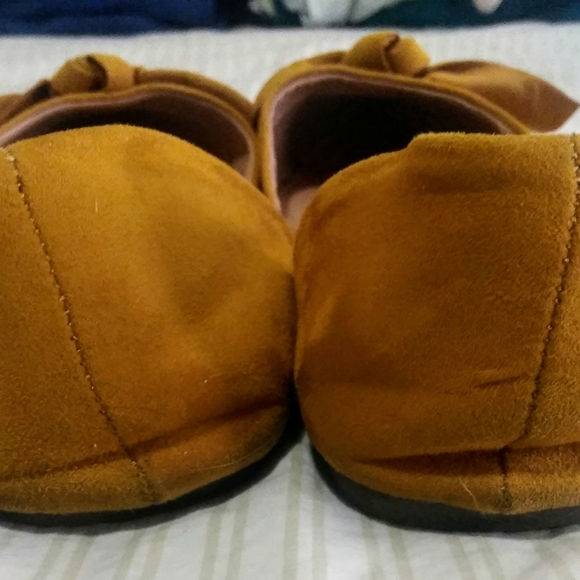 Torrid yellow flats - Picture 6 of 7